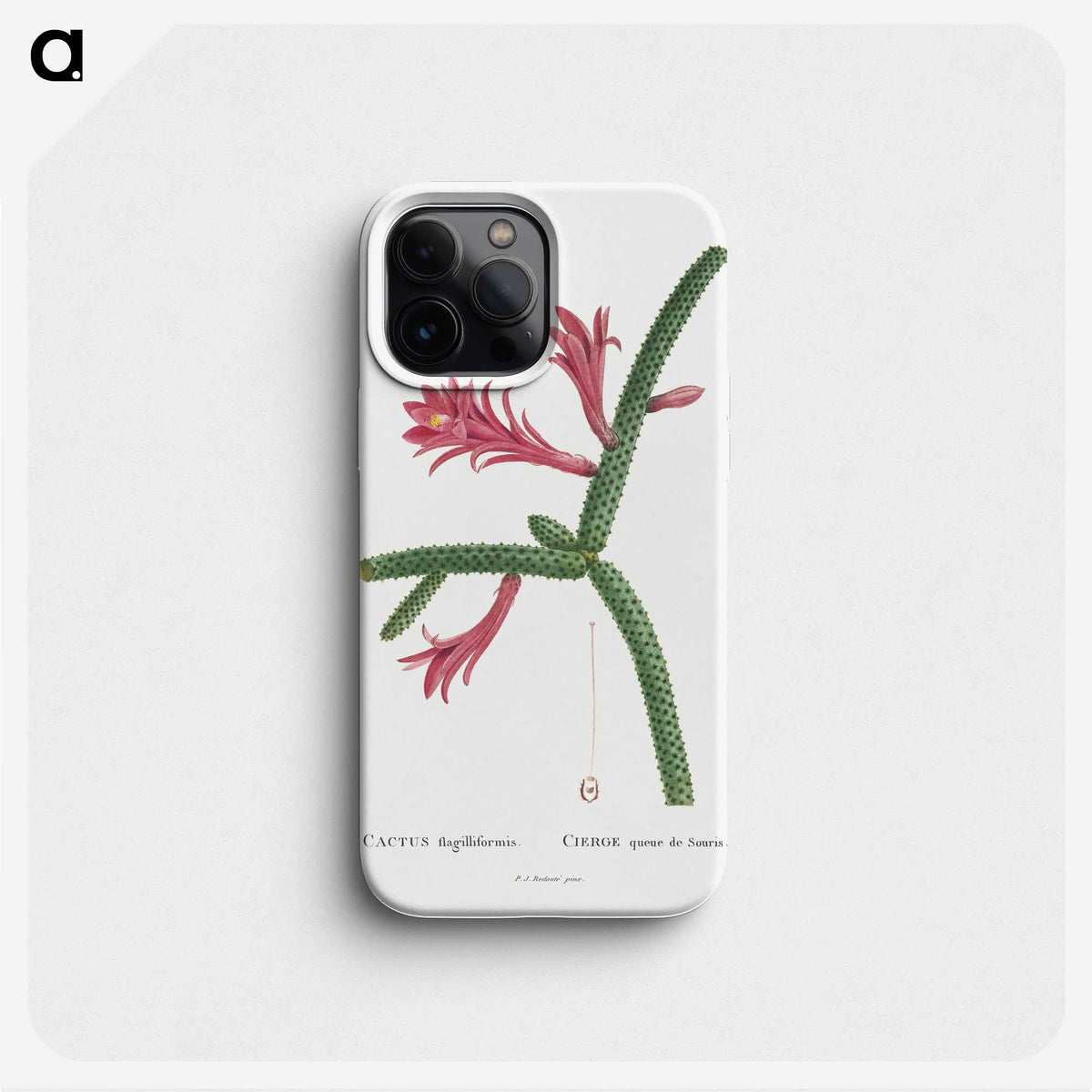 1-36_Histoire-des-Plantes-Grasses_phone