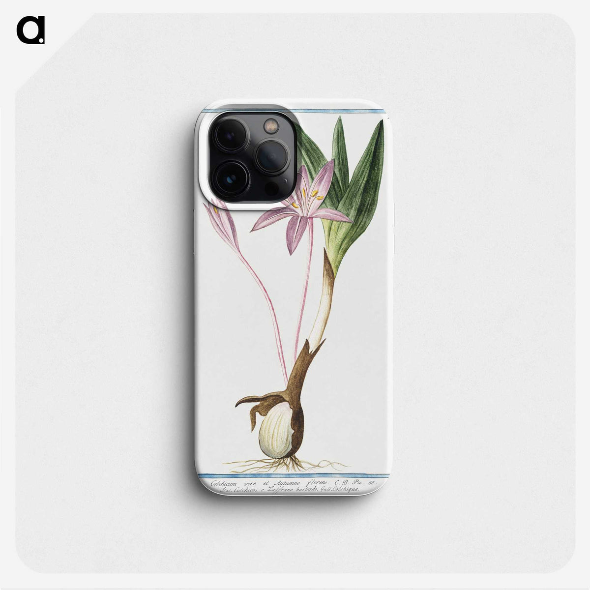 1-36_Hortus-Romanus-Botanical-Plates_phone