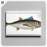 1-36_Ichtyologie-ou-Histoire-naturelle_canvas