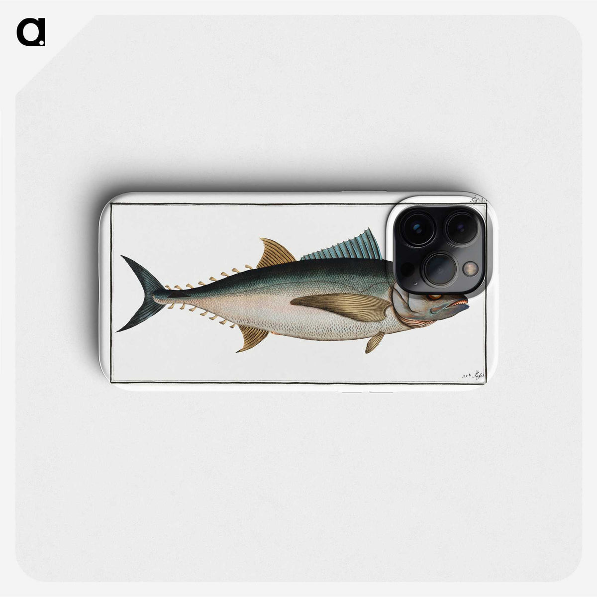 1-36_Ichtyologie-ou-Histoire-naturelle_phone