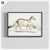 1-36_Indian-Zoology_blk-crop