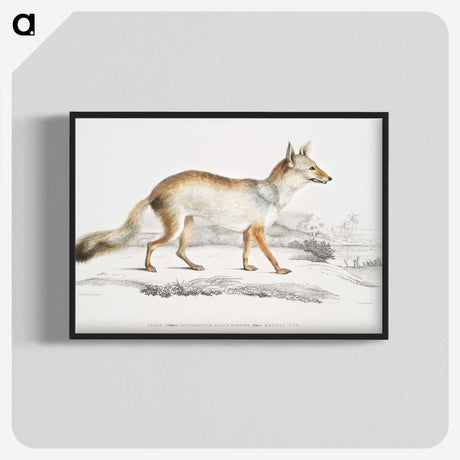 1-36_Indian-Zoology_blk-crop