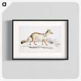 1-36_Indian-Zoology_blk