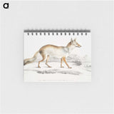 1-36_Indian-Zoology_memo