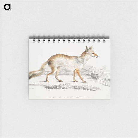 1-36_Indian-Zoology_memo