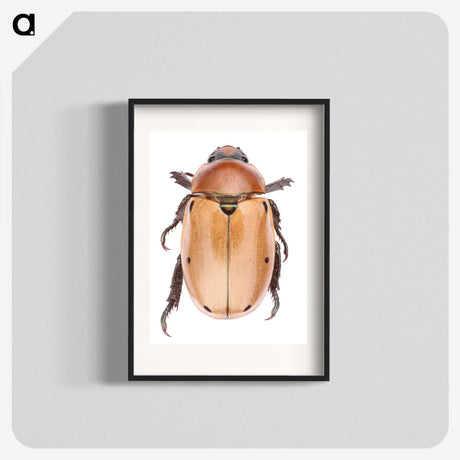 1-36_Insects-Unlocked-Project_blk