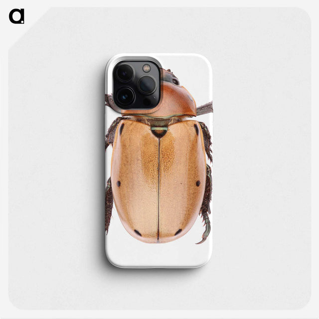 1-36_Insects-Unlocked-Project_phone