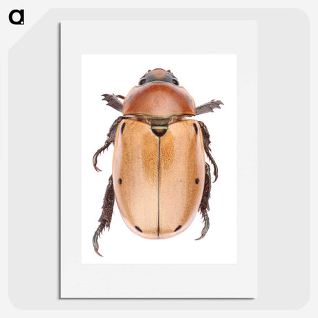 1-36_Insects-Unlocked-Project_picture