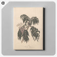 1-36_James-Heath_canvas