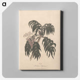 1-36_James-Heath_canvas