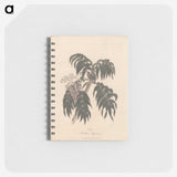 1-36_James-Heath_memo