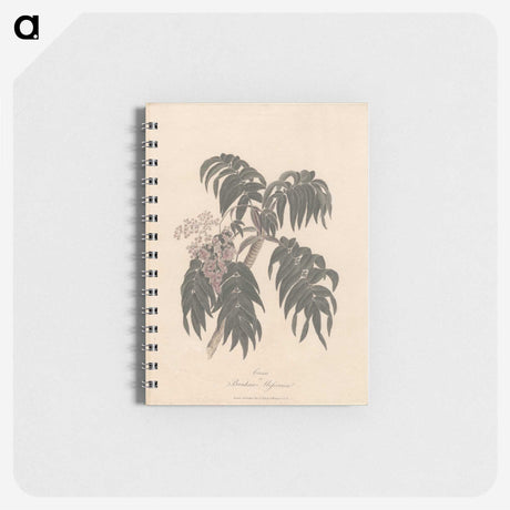 1-36_James-Heath_memo