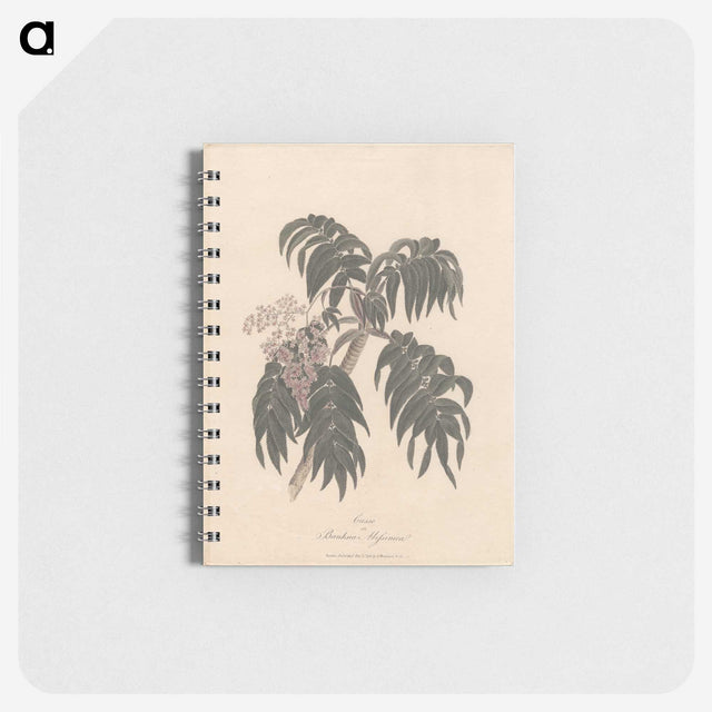 1-36_James-Heath_memo
