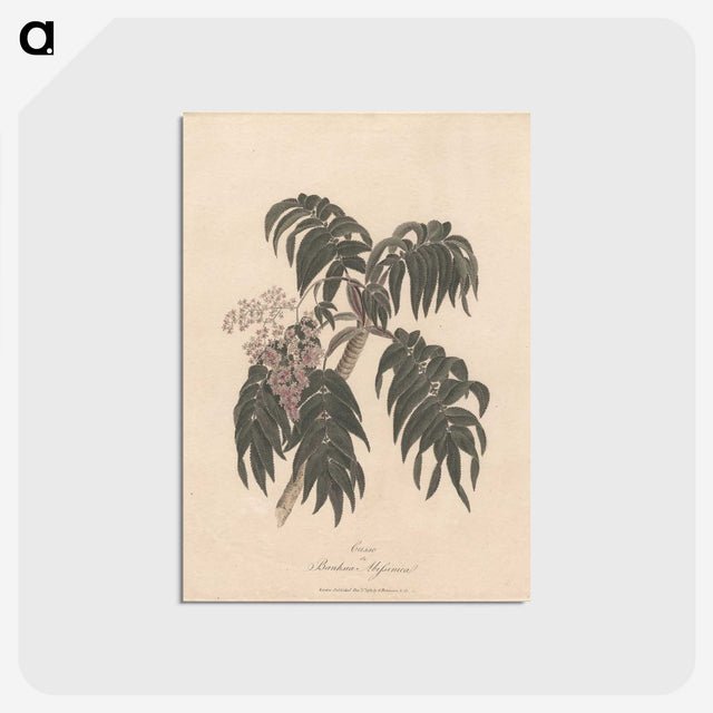 1-36_James-Heath_postcard