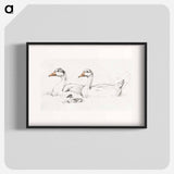 Two geese with a young drawing in high resolution by Jean Bernard - Jean Bernard Poster.