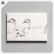 アートパネル-Two geese with a young drawing in high resolution by Jean Bernard - ジャン ベルナール Canvas.