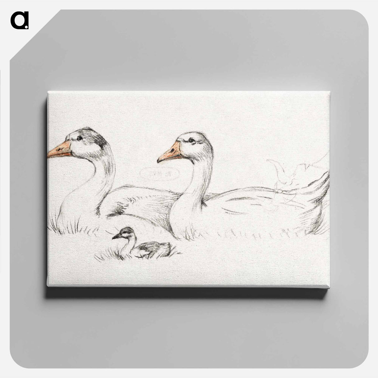 アートパネル-Two geese with a young drawing in high resolution by Jean Bernard - ジャン ベルナール Canvas.
