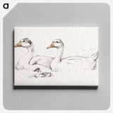 アートパネル-Two geese with a young drawing in high resolution by Jean Bernard - ジャン ベルナール Canvas.