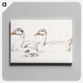 アートパネル-Two geese with a young drawing in high resolution by Jean Bernard - ジャン ベルナール Canvas.