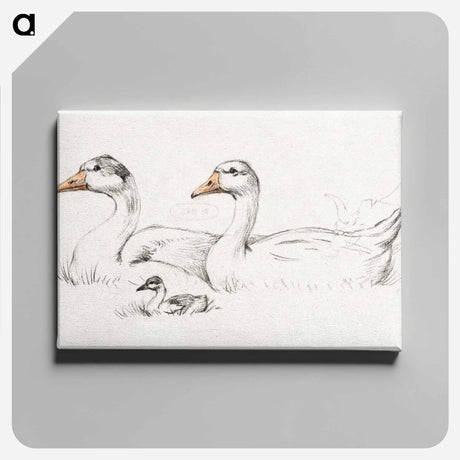 アートパネル-Two geese with a young drawing in high resolution by Jean Bernard - ジャン ベルナール Canvas.