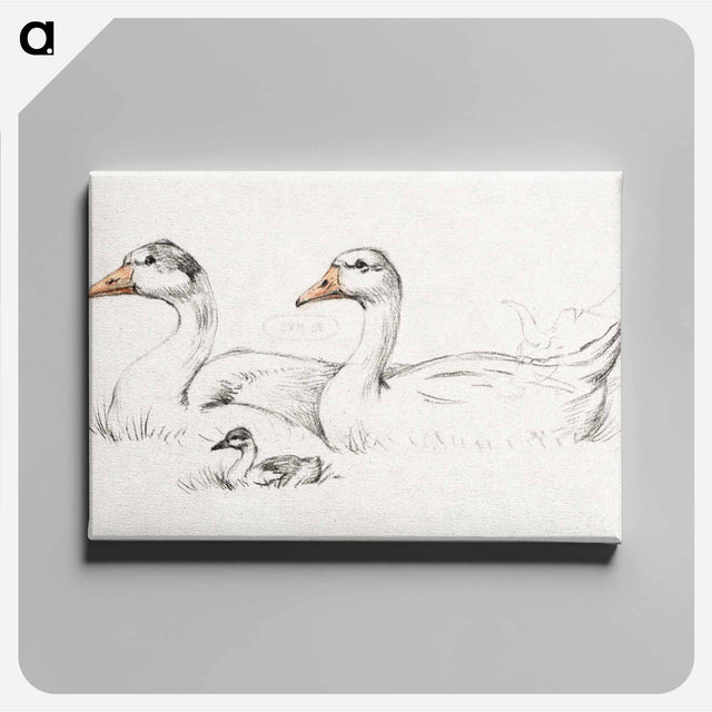 アートパネル-Two geese with a young drawing in high resolution by Jean Bernard - ジャン ベルナール Canvas.