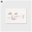 アートポストカード-Two geese with a young drawing in high resolution by Jean Bernard - ジャン ベルナール Postcard.