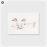 アートポストカード-Two geese with a young drawing in high resolution by Jean Bernard - ジャン ベルナール Postcard.