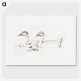 1-36_Jean-Bernard_picture