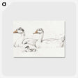 1-36_Jean-Bernard_postcard