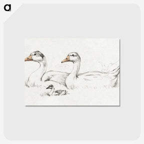 1-36_Jean-Bernard_postcard