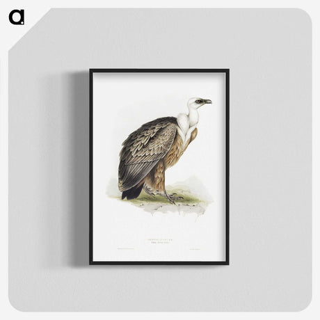 1-36_John-Gould_blk-crop