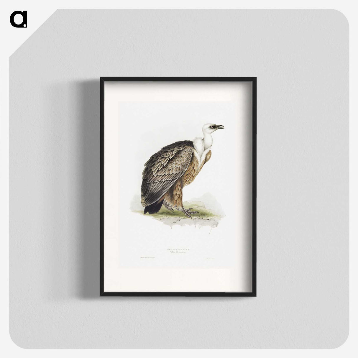 1-36_John-Gould_blk