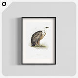 1-36_John-Gould_blk