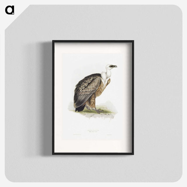 1-36_John-Gould_blk