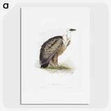 1-36_John-Gould_picture