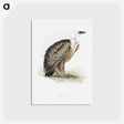 1-36_John-Gould_postcard