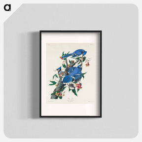 アートポスター-Blue Jay from Birds of America
 - ジョン ジェームス オーデュボン Poster.