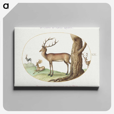 1-36_Joris-Hoefnagel_canvas