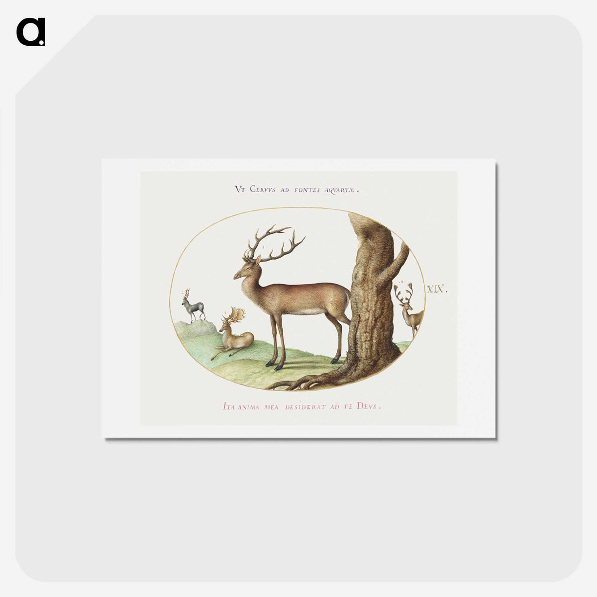 1-36_Joris-Hoefnagel_hagaki