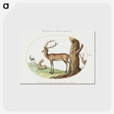 1-36_Joris-Hoefnagel_postcard