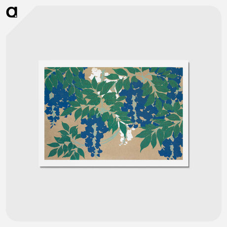 アートポストカード-Wisteria from Momoyogusa–Flowers of a Hundred Generations - 神坂 雪佳 Postcard.