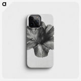 1-36_Karl-Blossfeldt_phone
