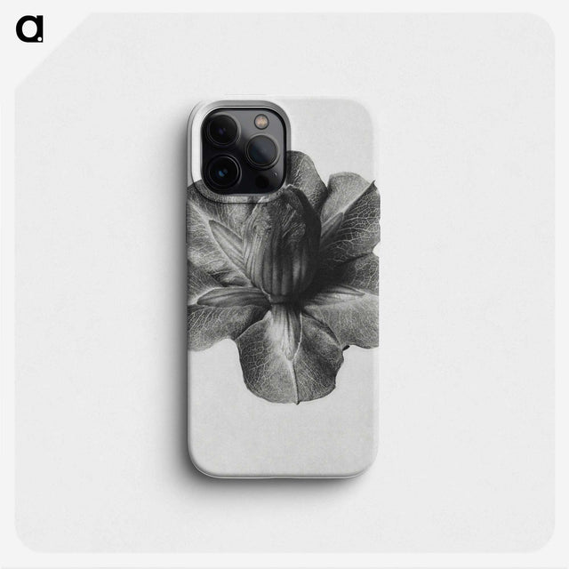 1-36_Karl-Blossfeldt_phone