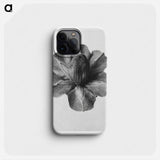 Cobaea Scandens - カール ブロスフェルト Phone Case.