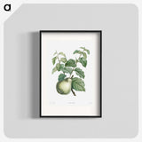 1-36_La-Botanique_blk