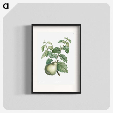 1-36_La-Botanique_blk