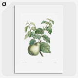 1-36_La-Botanique_picture