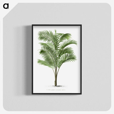 1-36_Les-Palmiers-Histoire-Iconographique_blk-crop