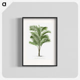 1-36_Les-Palmiers-Histoire-Iconographique_blk
