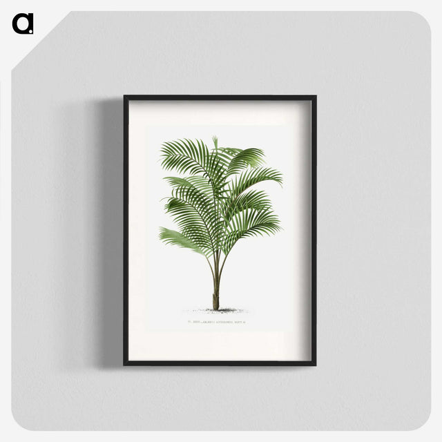 1-36_Les-Palmiers-Histoire-Iconographique_blk